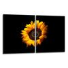 2x GLASS PROTECTIVE PLATE FOR STOVE 40x52 FLOWER