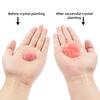 Crystal planting experiment DIYscientific experiment fun parent-child communication chemical experiment crystallization principl