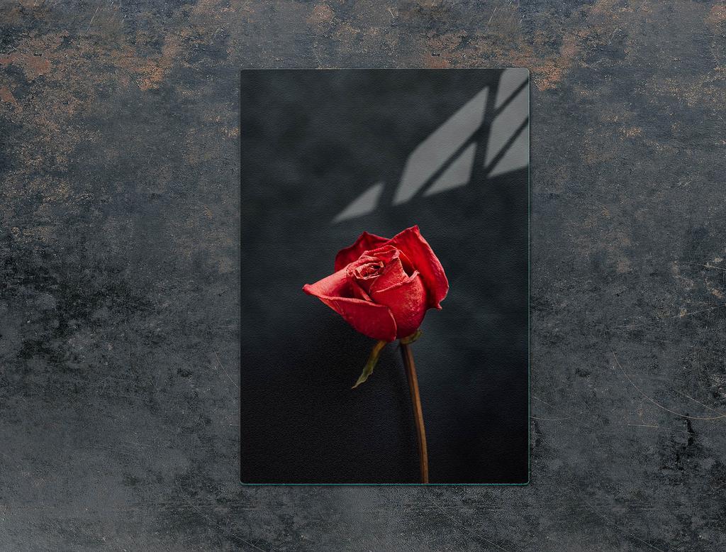 GLASS CUTTING BOARD 35x52 Rose