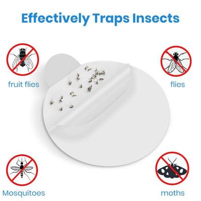 10 Pièces dans 1 Boîte Pièges à Mouches Plaques Collantes Forte Adhésivité Mouches des Fruits Moucherons Phalènes Lampe Anti-Moustiques Ensemble de Plaques Collantes Rechargeables
