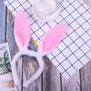 Bunny Ear Headbands, Set of 2, Cute Fluffy Horn Headbands, Props for Photography and Stage Performances, Animal Rabbit Ear Headbands, Bunny Ear