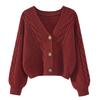 Herbst Winter Mode Cardigan Pullover Damen Gestrickte Mäntel Damen Einfarbig Langarm Freizeit Strickjacke Cardigans Oberteile Strickwaren