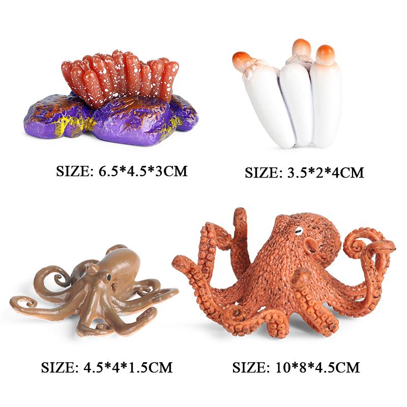 Oenux Marine Molluscs Model Simulation Squid Octopus Growth Cycle Action Figure Sealife Animals Education Collection Kids Toy