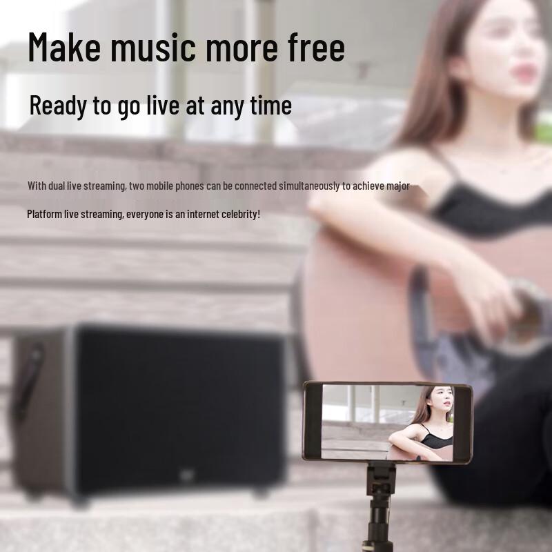 Huidu NB-400L Professional Portable Live Performance Speaker