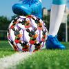 Bing Theme Size 5 Soccer Ball, Suitable for Both Indoor and Outdoor Matches, a Gift Suitable for Everyone.