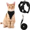 Coleira Peitoral para Cão Gato de Verão com Guia Ajustável em Malha de Poliéster Respirável Coleiras Refletoras para Cão Gato Pequeno Leash