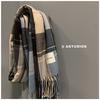 New Winter Classic Paid Scarf With Logo Women's Imitation Cashmere Korean Business Men's Student Scarf Shawl Wraps