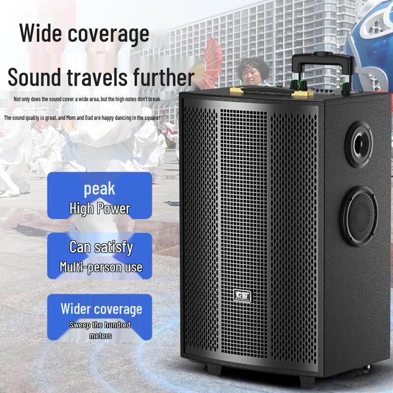 Suoai 12-inch Portable Bluetooth KTV Speaker