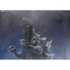 TAMASHII NATIONS S.H.MonsterArts Godzilla vs Mechagodzilla 2002 155mm PVC ABS Painted Action Figure