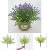 Faux Pteridium Aquilinum Var Latiusculum Plant Decor Set With Realistic Leaf Textures For Garden Photography And Home Decor