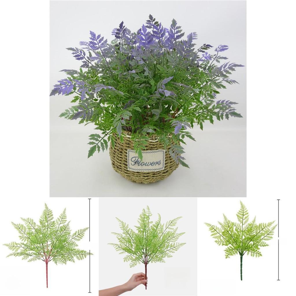 Faux Pteridium Aquilinum Var Latiusculum Plant Decor Set With Realistic Leaf Textures For Garden Photography And Home Decor