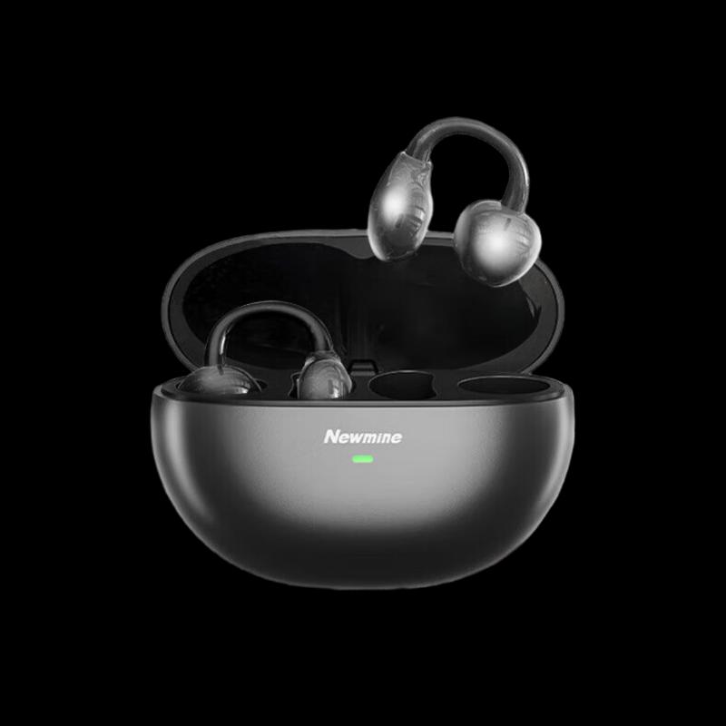 

Newmine AI Smart Real-time Translation Earbuds