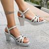 Fashion Fashion 2025 Ladies Shoes Open Toe Women's Sandals Summer Buckle Strap Office and Career Best Seller New Heeled Sandals Zapatos
