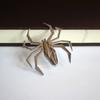Universal Motorcycle Sticker Scratch Fuel Tank Sticker Spider 3D Sticker Motorbikes Fashion Metal Decal Decorative Accessories