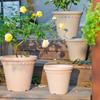 Gabriellelin Retro Prägung 22 Kaliber Keramik-Optik Kunststoff Blumentopf für Garten & Zuhause