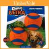 Cães – Brinquedos para cães