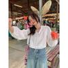 Early Autumn Women's Lace Collar White Shirt Small Chic Gentle Ladies Shirt