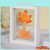 Wooden Doublesided Glass Photo Frame For A4 Herb Leaf Specimen Diy Art Display For Home Decor