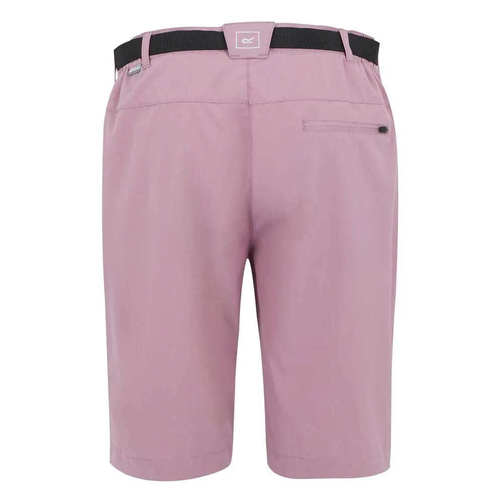 Regatta Xert Stretch Light Shorts