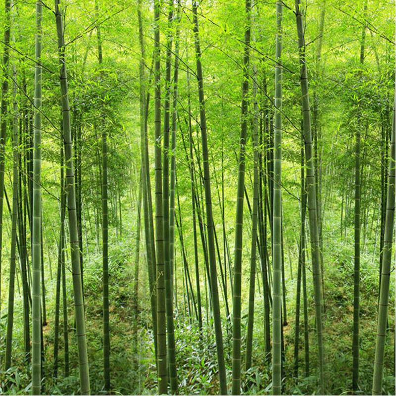 Nature Landscape Wallpaper Green Bamboo Forest Mural Size 3D Wallpaper For Wall Living Room Wall Mural