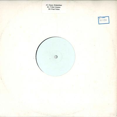 12-Zoll Schallplatte UNBEKANNTER KÜNSTLER - Inaya Shakedown SHAK0001 KEINE Dance & Electronica Gebraucht