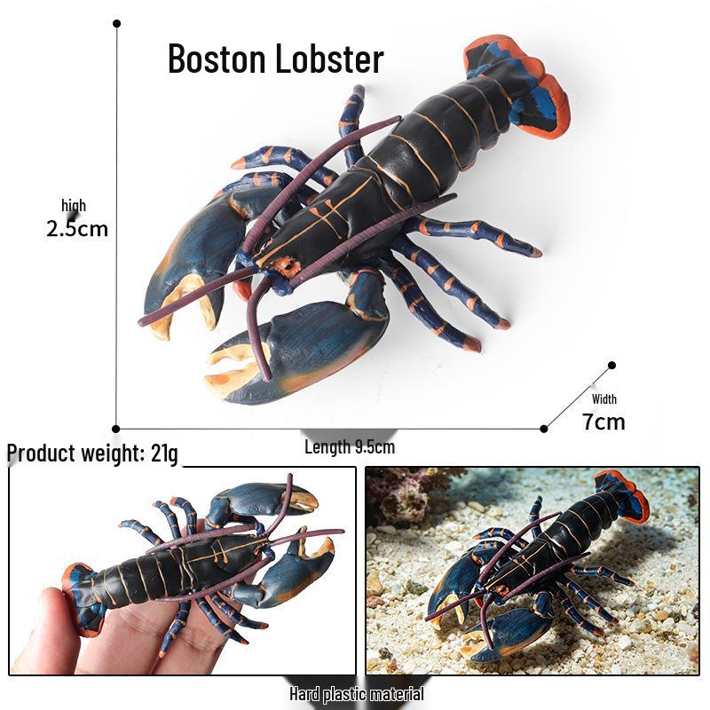 Ocean Crab Simulation Toy Set: Includes Hermit, Swimming, and Three-Spot Plastic Models