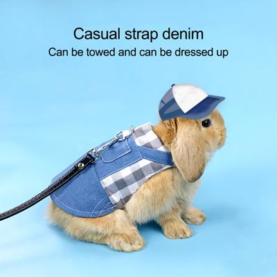1 Set weiche Meerschweinchen-Kleidung, hautfreundliche Hamsterjacke, kleine Haustierkleidung
