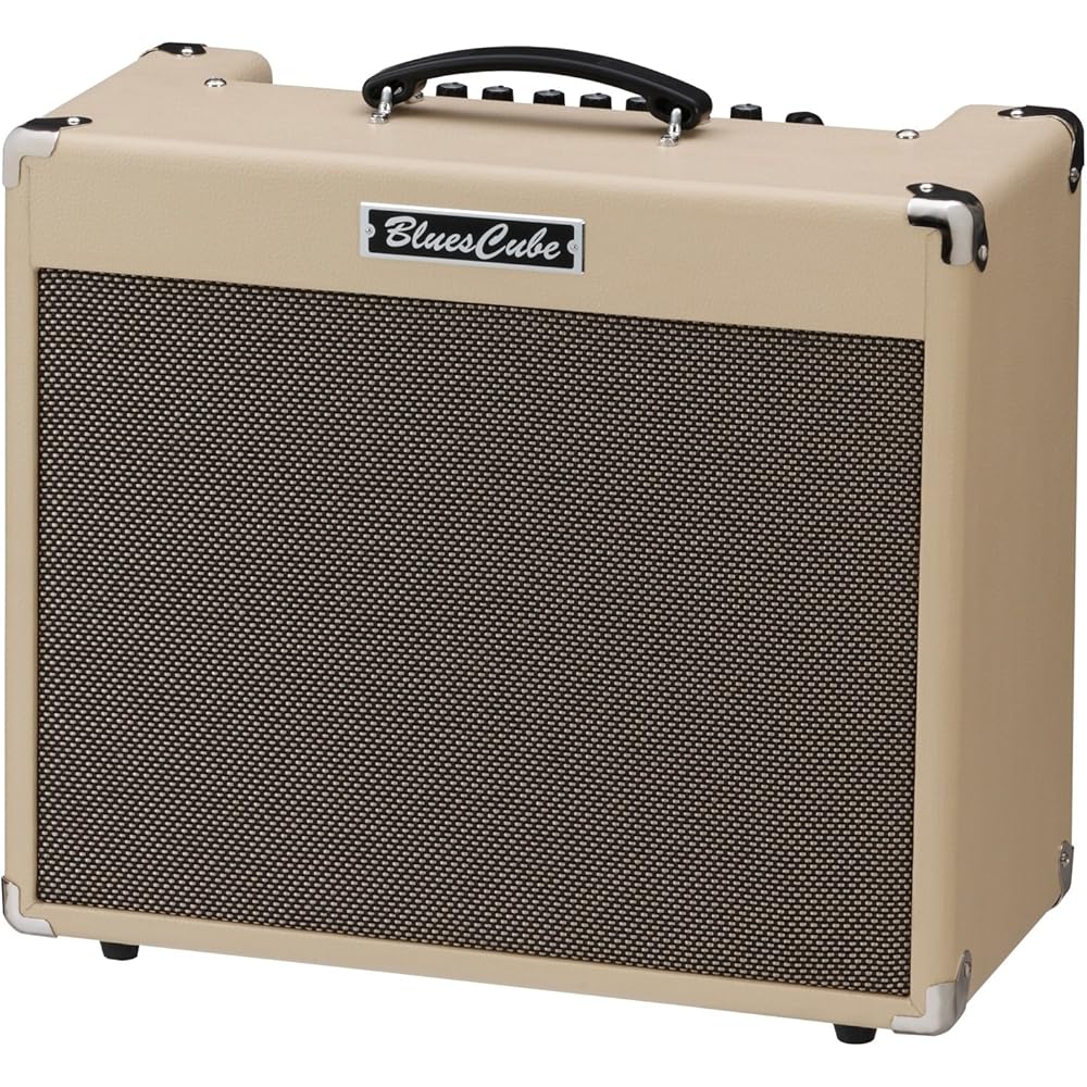 Roland/Blues Cube Stage Roland 60W Guitar Combo Amp Blues Cube