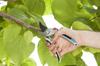 Comfort Garden Pruning Shear Alu B/L - Hg-08906-20