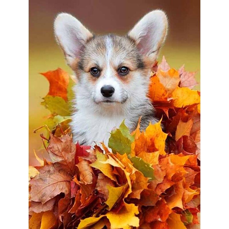 5D DIY Diament Malarstwo Jesienne Liście Pies Diament Haft Zwierząt Cross Stitch Pełne Kwadratowe Okrągłe Wiertła Home Decor Instrukcja Prezent