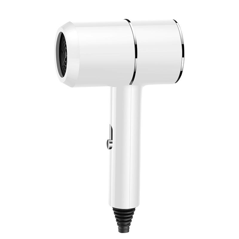 High Power Blue Light Negative Ion Hair Dryer for Home or Dorm