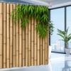 Bamboo Forest Shower Curtain Machine Washable All Season Waterproof Privacy Protection Natural Design Zen Elevate Your Space