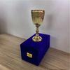 Embossed Brass Chalice Goblet, 15.24 Cm Medieval Wine Cup with Velvet Box, Weddin, Anniversary, Birthday, Christmas Gift