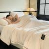 Plush Warm Winter Blanket A Grade Coral Fleece Flannel Soft Thick Bed Blankets for Sofa Single Double Couple Furry Bedspread