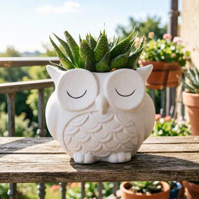 Cute Owl Planter Plant Pot with Drainage Hole Ceramic Decorative Planter for Succulents Small Aloe Home Office Desktop Decor