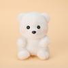 13cm Super Cute Animal Companion Doll Rabbit Tiger Ragdoll Polar Bear Learning Buddy Doll Table Companion Doll Kid Birthday Gift