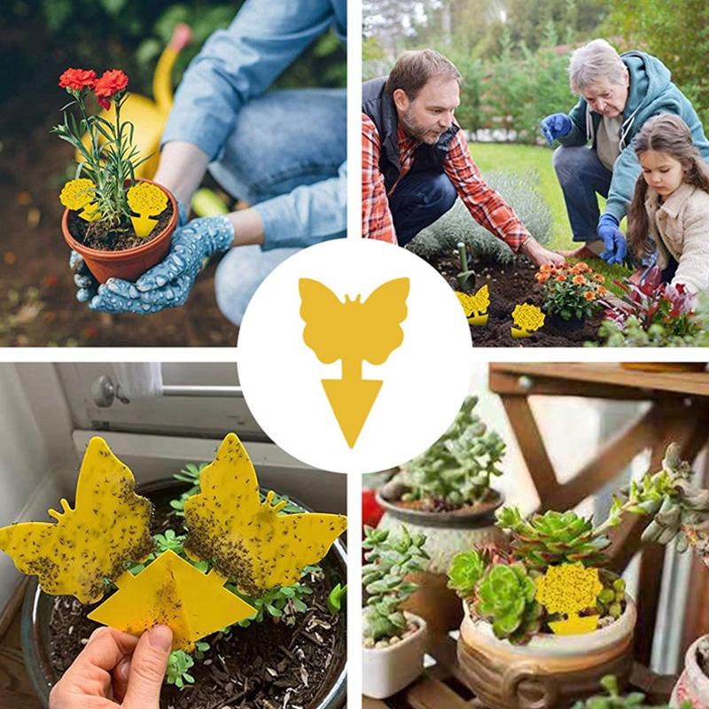 20Pcs Insect Traps Protect The Plant Double Sided Gnat Traps Non-Toxic And Odorless Sticky Board Traps For Garden Plants Kitchen