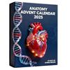 2025 Anatomys Advents Calendar Xmas Tree Hanging Pendants For Christmas Tree Decoration