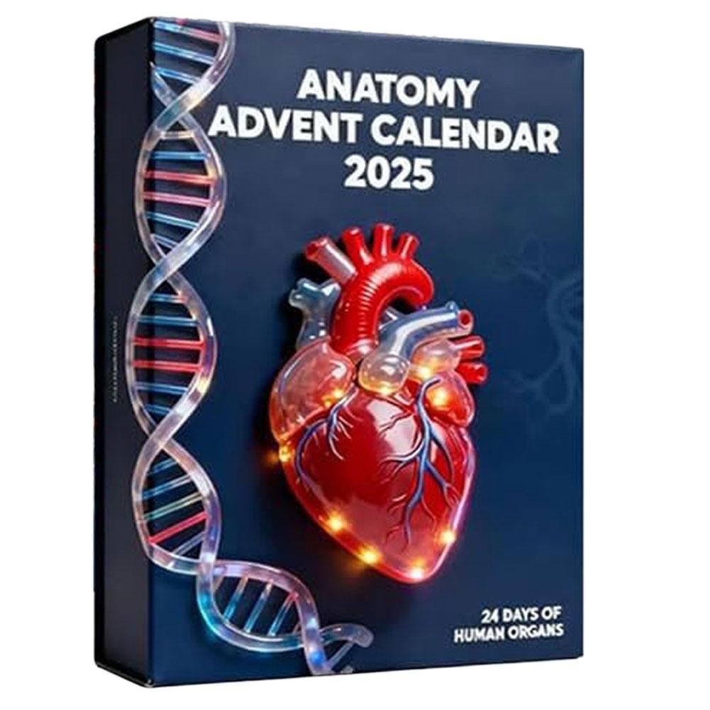 2025 Anatomys Advents Calendar Xmas Tree Hanging Pendants For Christmas Tree Decoration