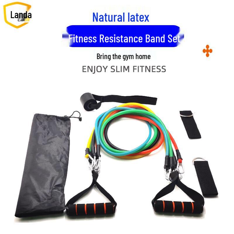 Landa 11-Piece Latex Resistance Band Set