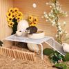 Landscaping Platforms Pet Feeding Supplies Chicken Cage Accessories Rutin Chicken Grid Racks
