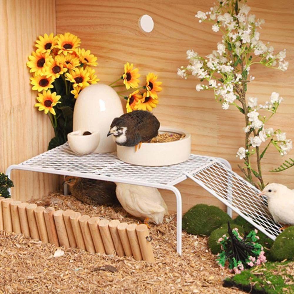Landscaping Platforms Pet Feeding Supplies Chicken Cage Accessories Rutin Chicken Grid Racks