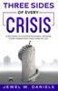 The Three Sides of Every Crisis : Strategies To Sustain Business, Manage Your Career and Take Care of You Book