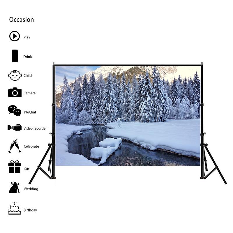 Winter Theme Snow Scene Background Nature Landscape Sky Snowflake Christmas Portrait Prop Party Decoration Banner