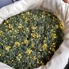 2025 New Tea Is Listed, Osmanthus Biluochun, Green Tea Tea, Loose Tea Wholesale Factory Direct Sales, Selected Scented Tea In Mingqian