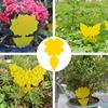 Flie Traps Sticky Board -Sided Sticky Traps Flying Plant Insect Catcher