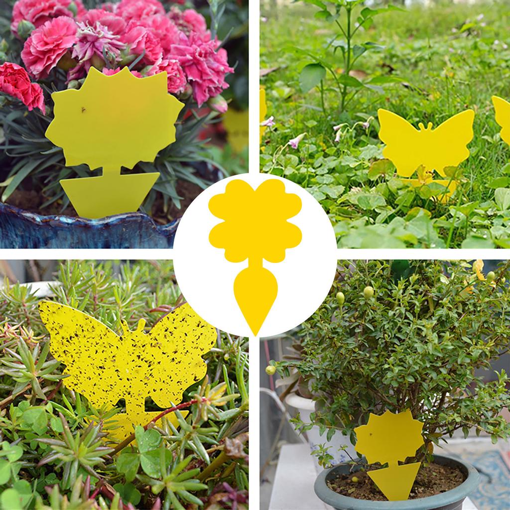 Flie Traps Sticky Board -Sided Sticky Traps Flying Plant Insect Catcher