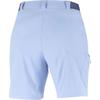 SALOMON Wayfarer Shorts