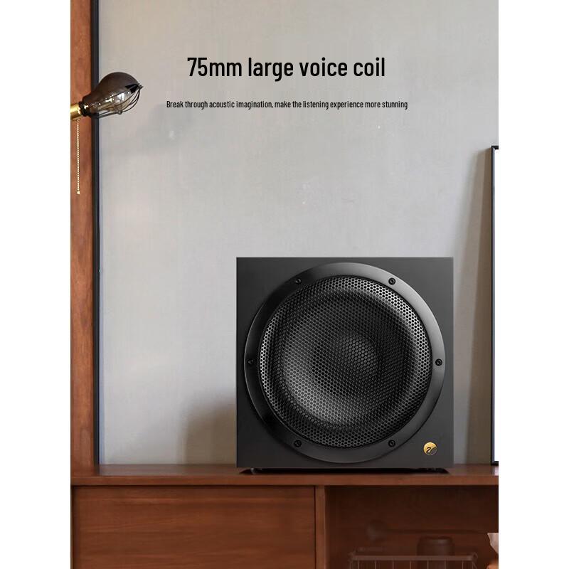 HiVi Sub10G 10-inch Active Home Theater Subwoofer (CN version)