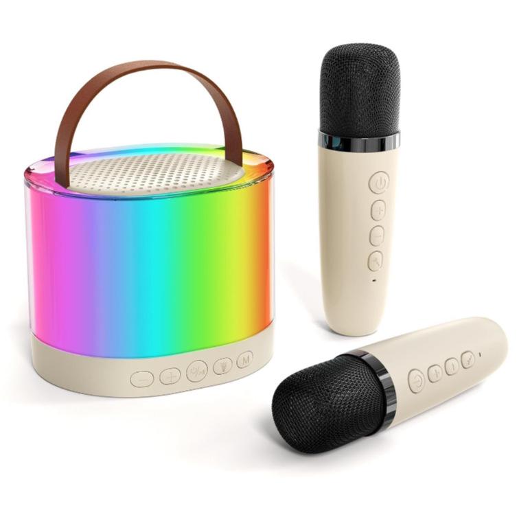 Best-Selling Portable Outdoor Bluetooth Speaker with Dual Microphones for Family Karaoke